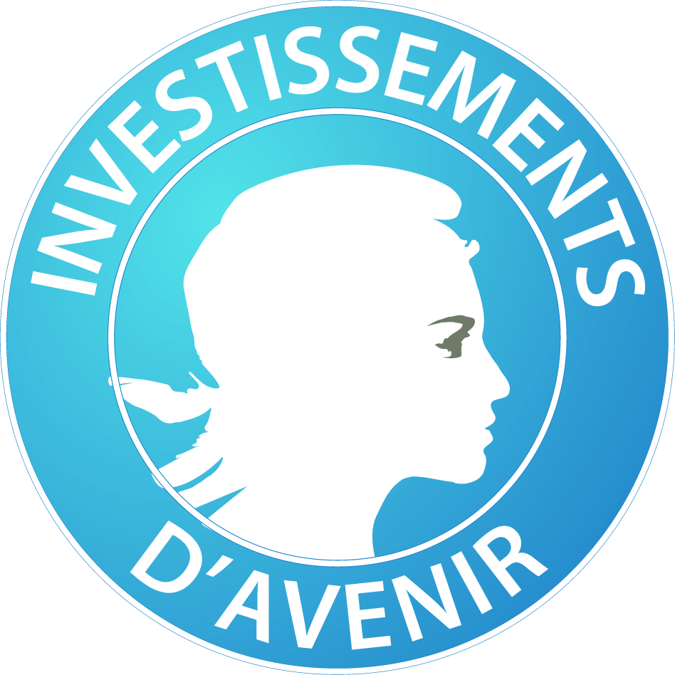 Investissements_d_avenir_logo_1.jpg